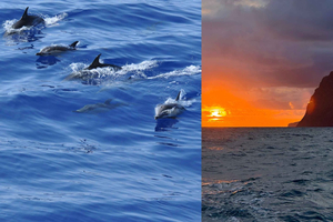 Funchal: Private Catamaran Tour - With Open Bar & Snacks