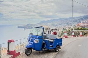 Funchal: Private Stadtrundfahrt per Tuk-Tuk und zu Aussichtspunkten