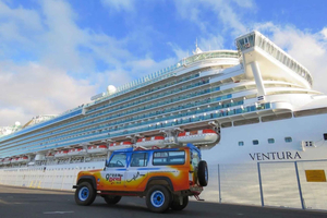 Funchal: Surprise Madeira Highlights for Cruise Guests