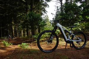 begeleid e-MTB-avontuur