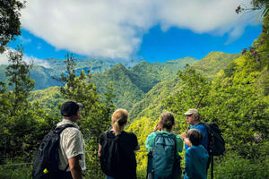 Vandring på Madeira: Levada do Rei og den majestætiske Laurissilva