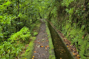 Levada dos Tornos - Lombo do Urzal: una passeggiata lungo la levada