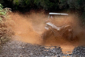 Madeira: Aventura en buggy - Experiencia épica todoterreno