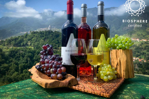 Madeira: Cabo Girão, degustazione di vini e tour in jeep della Serra d'Água