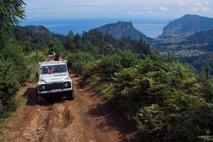 Madeira Combo Tour: Levada Walk & Jeep Safari