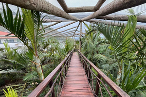 Madeira: Exotic Birds & Valleys 4x4 Safari with Local Guide