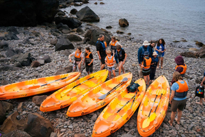 Madeira: En hel dag med aktiviteter i Ponta de São Lourenço