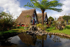 Madeira: Tour dell'isola di Go East