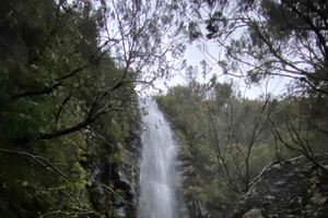 Madeira Island: Private Hiking Tour – Pick Your Route