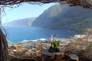 Madeira: North Side Tour