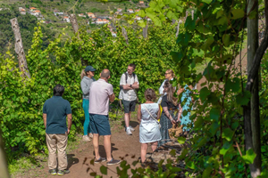 Madeira Off‑Road Wine Safari