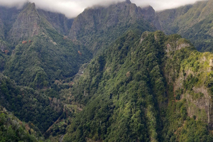 Madeira: Private 1,5-Kilometer-Wanderung auf der Levada dos Balcões PR11