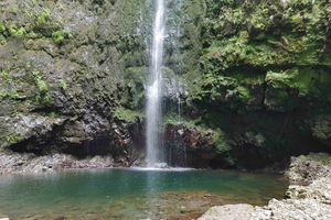 Madeira: Paseo Privado Guiado Levada Caldeirão Verde PR9