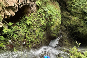 Madeira: Seixal Canyoning Level 3 Adventure
