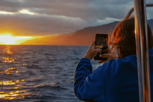 Madeira: Sunset Cruise With a Swim and Drink