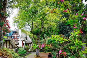 Madeira: wandeltour - Queimadas / Caldeirão Verde