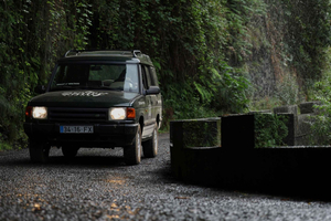 Excursion en 4x4 sur la côte ouest de Madère : Fanal, Porto Moniz et plus encore