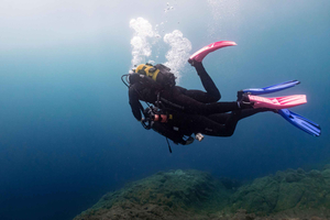 Magic & Safe Diving or swim Experience for Beginner