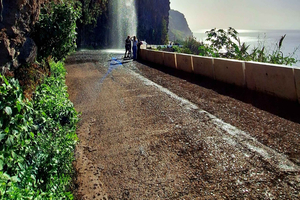 Madeira: tour privato di 1 giorno tra i luoghi più belli