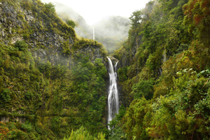 Rabaçal – 25 Springs and Risco Waterfall: Guided Hike