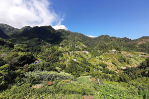 Referta Levada-Wanderung: Entdecke die ruhige Landschaft Madeiras