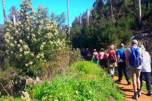Serra de Água Tal Levada Wanderung