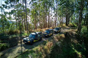 Tropical Tide, Porto Moniz og Fanal Forest – jeeptur i firehjulstrækker
