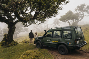 VIP 4x4 Fanal Forest & North (Max 4 Guests)
