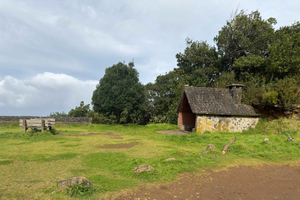 Volcanic Pools, Fanal Forest, and Stop for a Traditional Lunch