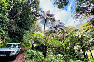 Funchal: Passeio de Jipe 4x4 pelo Leste e Nordeste da Madeira