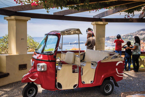 Funchal: Guidad Tuk Tuk-tur till de bästa utsiktsplatserna