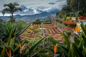 Funchal: Botanical Garden & Old Town Tour by TukTuk (1h45)