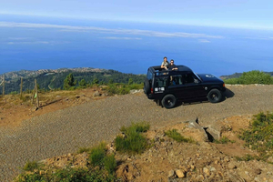 Madeira: firehjulstrækker-tur og Skywalk til Seixal, Porto Moniz og Fanal