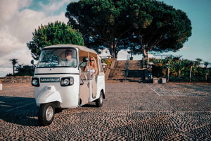 Funchal: Madeira Viewpoints TukTuk Tour