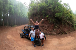Funchal: Privat buggyäventyr i skogen