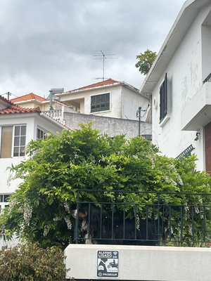 FX Hostel & Guest House Carvalhal