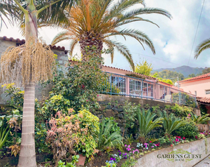 Gardens Guest House Hostel