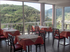 Lily's Restaurant