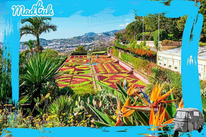Madeira: Giardini botanici + tour in tuk-tuk della città vecchia con MadTuk