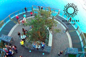Madeira: Cabo Girao, jeeptur-eventyr og vinsmagning