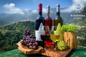 Madère : Cabo Girão, dégustation de vin et excursion en jeep dans la Serra d'Água