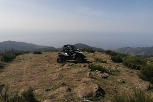 Madeira: Halvdags offroad-buggytur