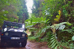 Funchal: Pico do Areeiro till Santana 4x4 East Tour