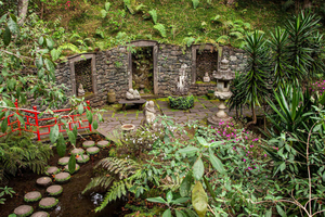 Madeira: Monte Tropical Gardens + Gamla stan med tuk-tuk av MadTuk