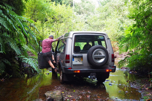 Madeira Northern Express, privat tur 4x4