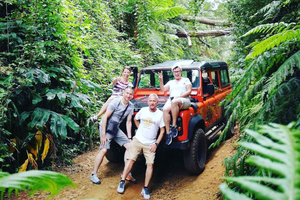 Madeira: Privat jeep 4x4 tur vestpå til naturlige pools