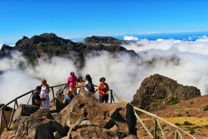 Madeira: tour di un giorno di Santana & Peaks in Open 4x4