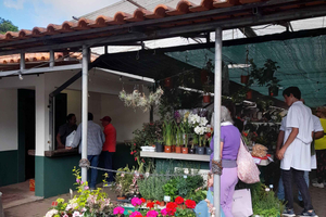 Madeira: Mercado de domingo no Santo da Serra