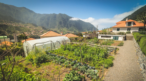 Solar da Bica