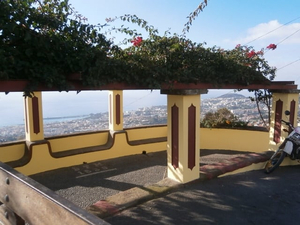 Viewpoint bar